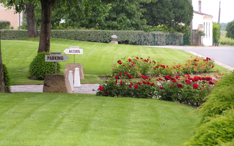 Paysagiste Bordeaux Arcachon : gazons, prairies fleuries