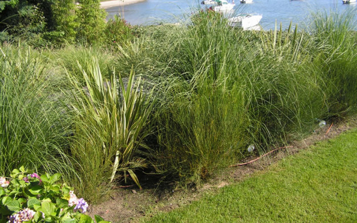 Paysagiste Bordeaux Arcachon : massifs et plantations