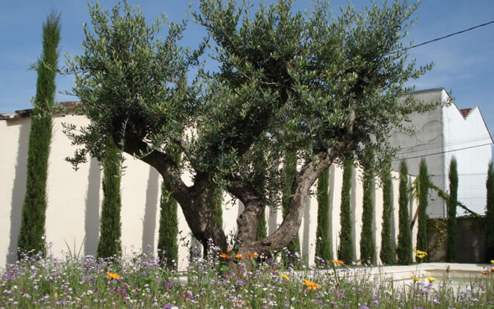 Paysagiste Bordeaux Arcachon : massifs et plantations