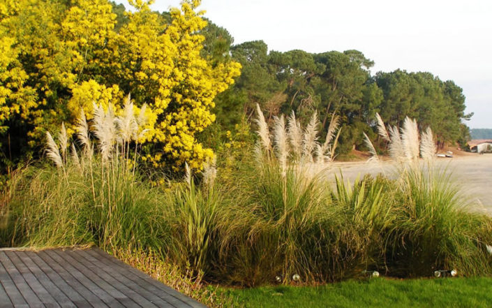 Paysagiste Bordeaux Arcachon : massifs et plantations